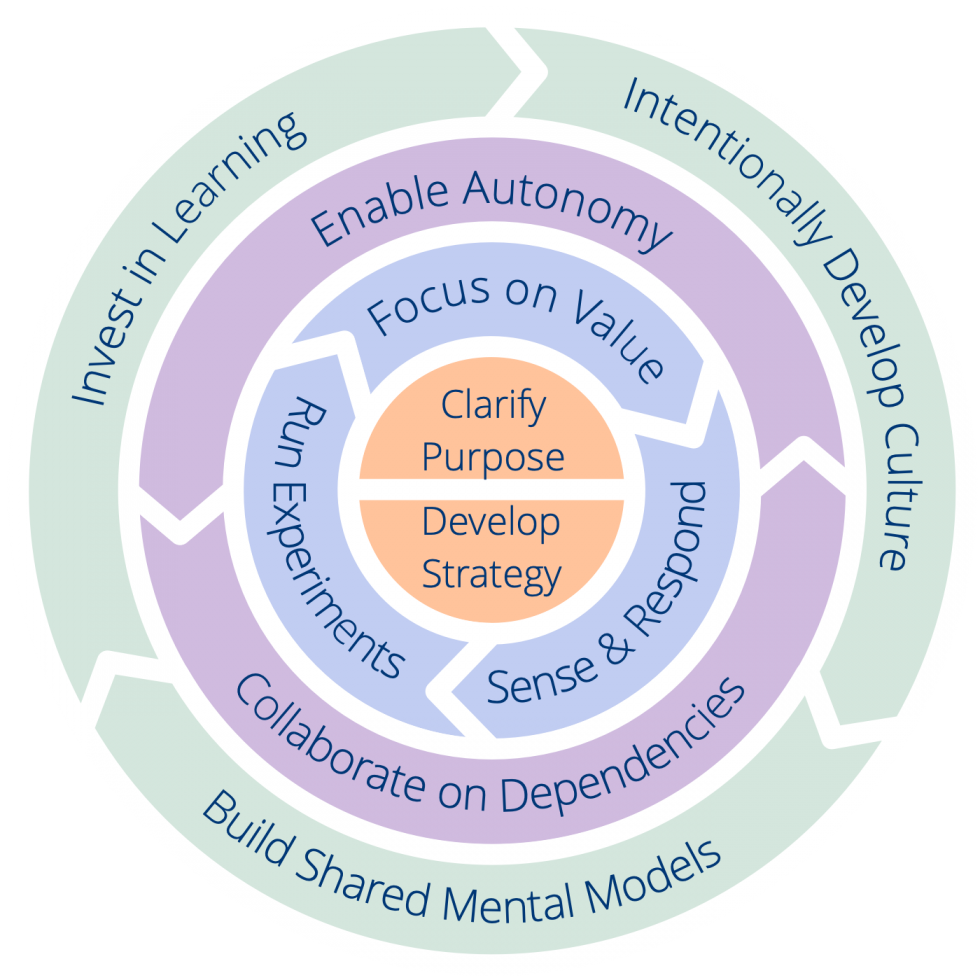 The Common Sense Framework Sociocracy 3.0